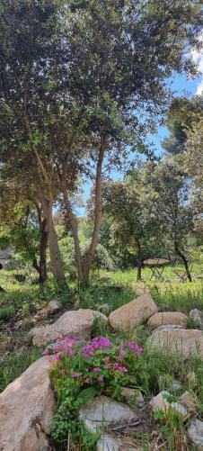 Les Bois De Zola Entre Provence Et Luberon Aparthotel Saint-Esteve-Janson Exteriör bild