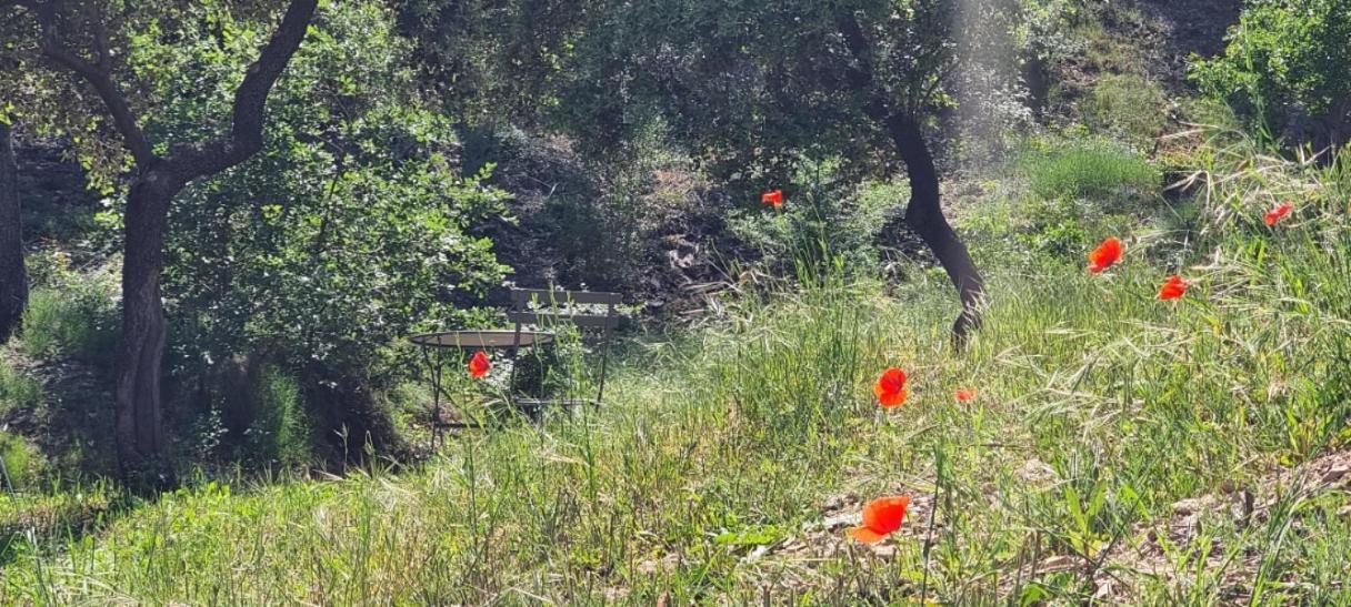 Les Bois De Zola Entre Provence Et Luberon Aparthotel Saint-Esteve-Janson Exteriör bild