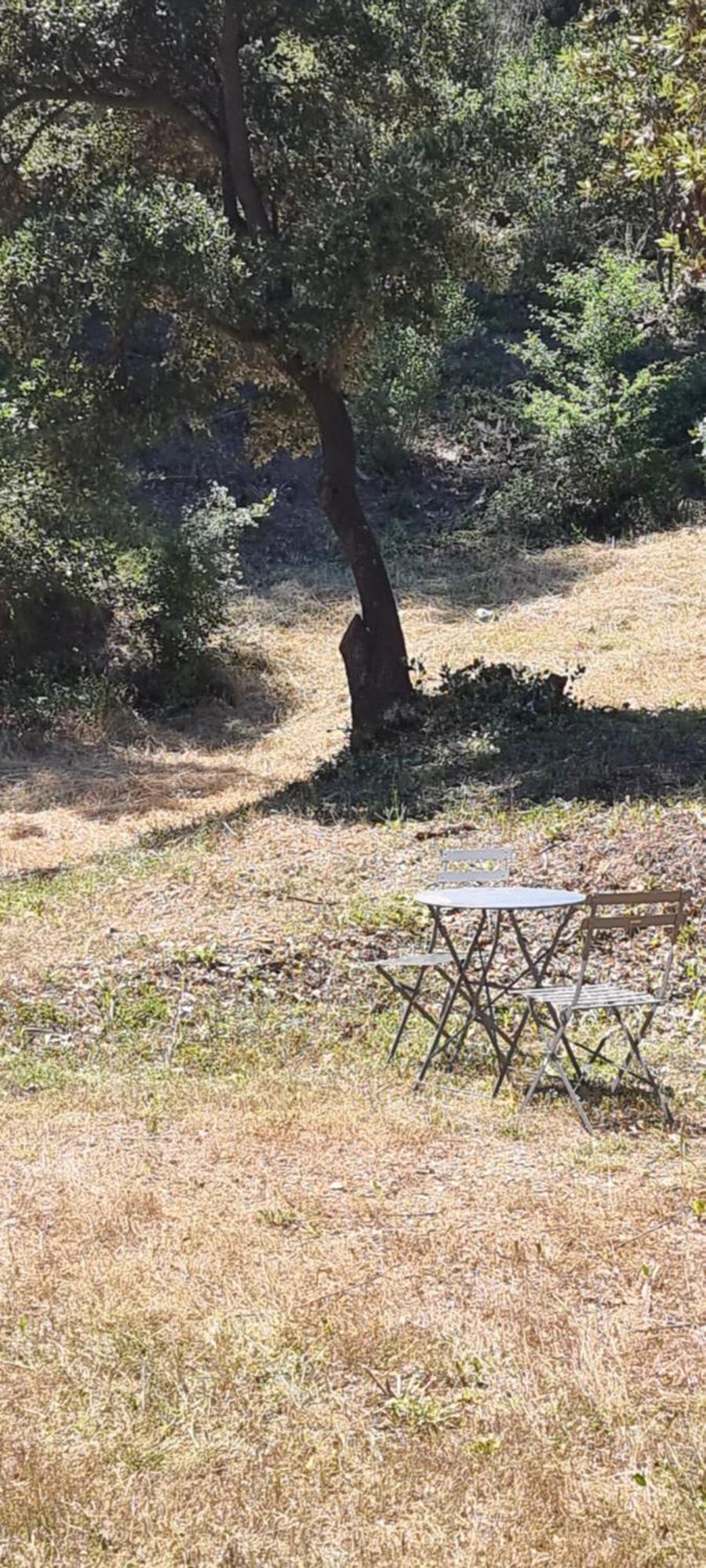 Les Bois De Zola Entre Provence Et Luberon Aparthotel Saint-Esteve-Janson Exteriör bild
