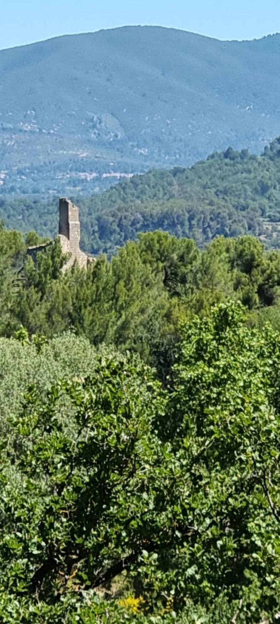 Les Bois De Zola Entre Provence Et Luberon Aparthotel Saint-Esteve-Janson Exteriör bild